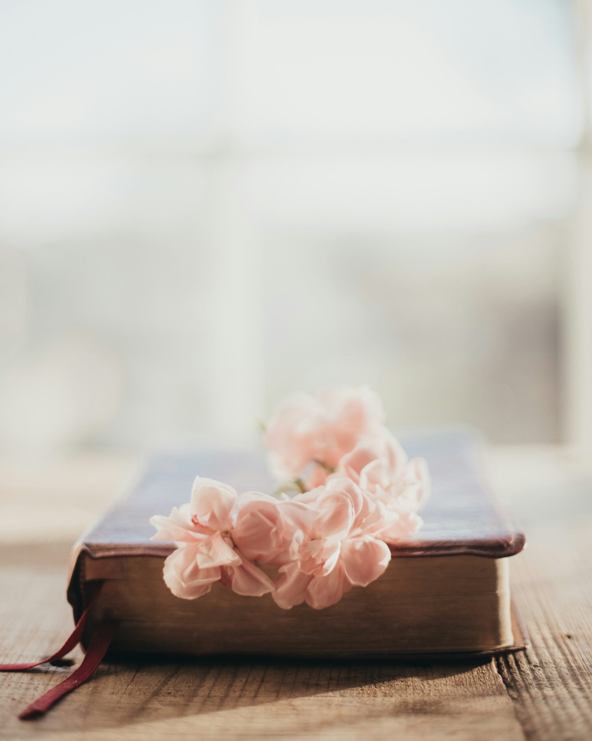 My Quiet Time Routine