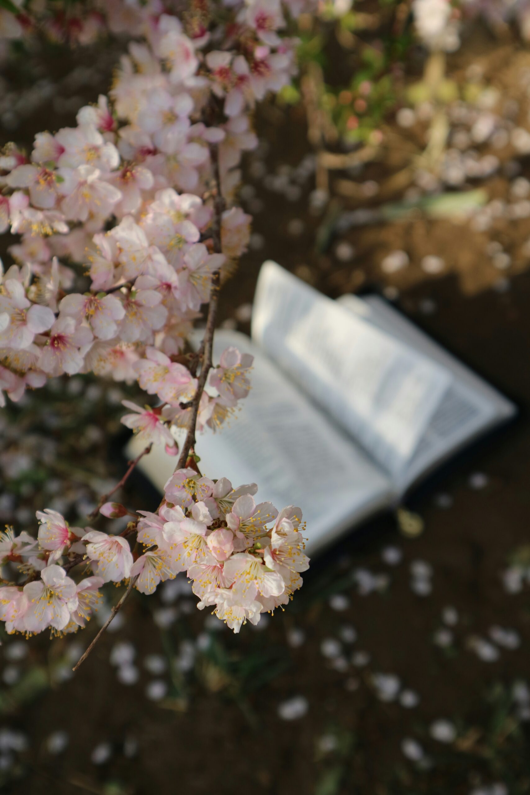 Hebrews 11: What is Faith?