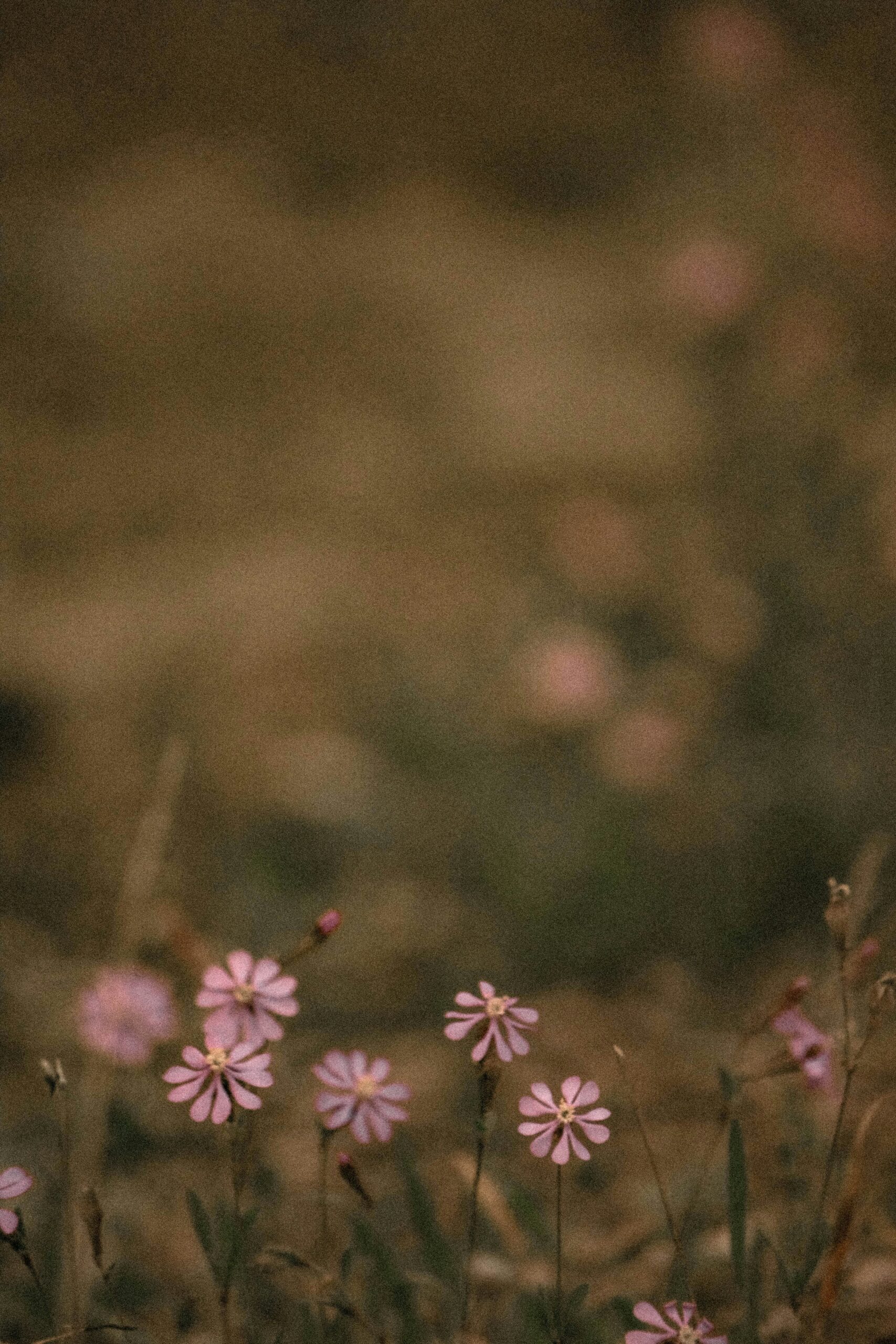 6 Verses For When God Feels Silent
