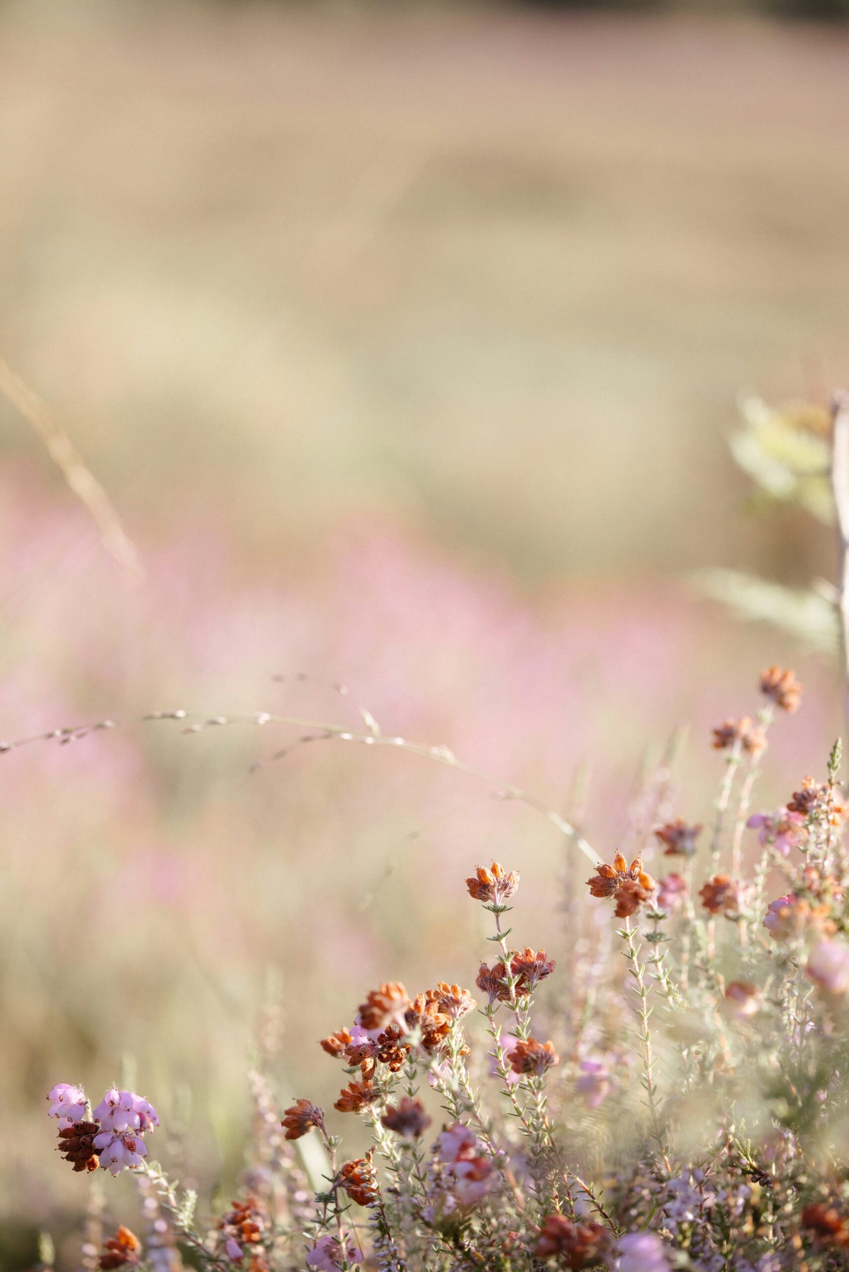 How to Start Bible Journaling: Simple Steps for Beginners